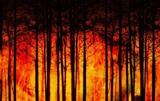 Hvordan forhindre skogbranner som truer bebyggelse?