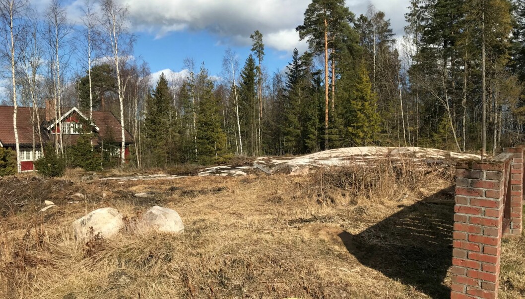 Mot øst er det bare skog, og ingen naboer (foto: Ronny Thomassen). Mot øst er det bare skog, og ingen naboer (foto: Ronny Thomassen).