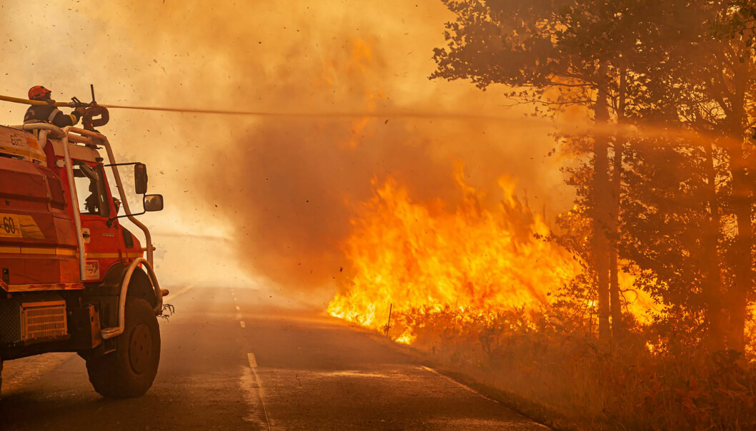 Brannmannskaper kjemper mot en stor skogbrann i Gironde-regionen sør for Bordeaux i Frankrike. Langvarig tørke har ført til knusktørre forhold og rekordmange skogbranner i Europa.