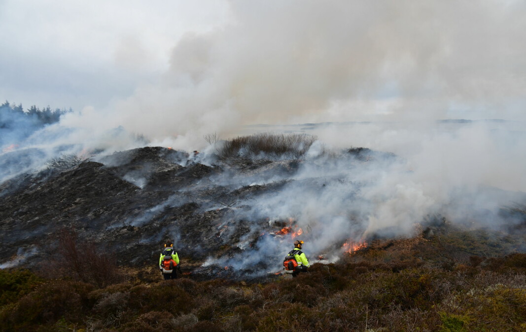 Lyngbrenning på Dale på Nord-Karmøy 12.april 2022. Løvblåsere ble brukt til slukking. Lyngbrenning på Dale på Nord-Karmøy 12.april 2022. Løvblåsere ble brukt til slukking.