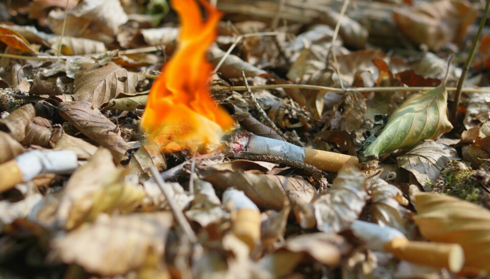 Advarer: Nå som det er så tørt, kan ilden spre seg faretruende raskt. Foto: Immo Wegmann/Unsplash