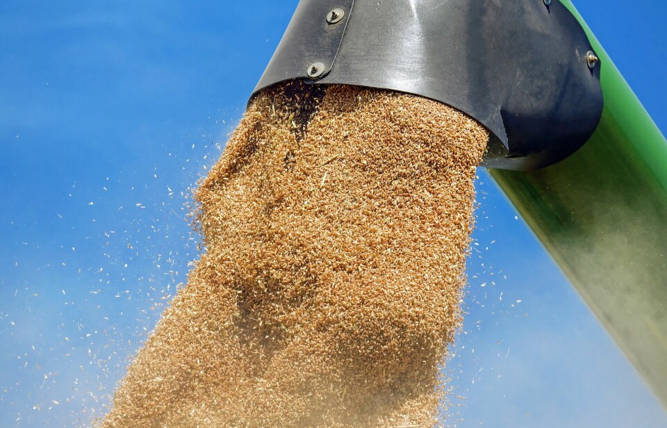I forslaget til statsbudsjett for neste år er det satt av 63 millioner kroner til et beredskapslager for korn. Totalberedskapskommisjonens rapport fra februar, anbefaler å opprette kornlager..